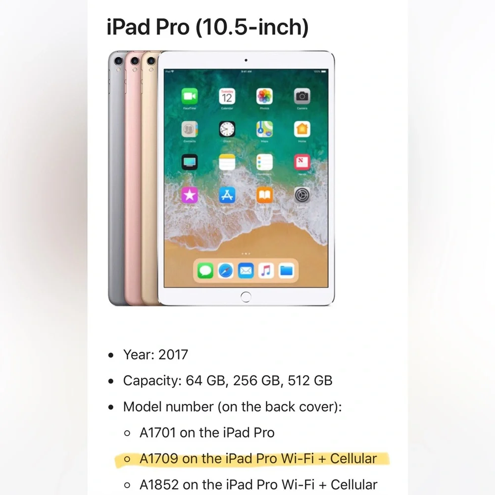 iPad Pro (10.5 inch) 256GB